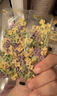 爷爷的农场有机婴儿面条宝宝意面600g（海洋面＋太空面＋螺旋面）1岁+钙铁锌 实拍图