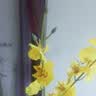 爱已装糖仿真花绿植假花花瓶插花diy花束塑料花客厅摆件装饰花跳舞兰1束 实拍图