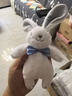 澳贝（auby）婴幼儿玩具小兔安抚巾宝宝哄睡阿贝贝新生儿豆袋玩偶毛绒手偶礼物 实拍图