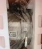 美厨（MAXCOOK）蒸锅 304不锈钢28cm二层蒸锅 加厚复底汤锅 燃气电磁炉通用MCZ828 实拍图