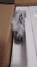 志高（CHIGO）破壁机家用 豆浆机1.8L轻音全自动免煮3-5人五谷杂粮预约多功能免滤家用榨汁机辅食料理机 LD-D20A 实拍图