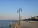 SIMELO施美乐咖啡杯高颜值玻璃Dirty意式冰美式浓缩拿铁杯芬兰杯160ML 实拍图