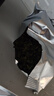 福茗源四大乌龙茶500g新茶铁观音大红袍冻顶乌龙凤凰单枞茶叶礼盒送长辈 实拍图