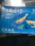 万景北海鲜冻白虾 国产白虾 单冻无冰净重4斤 100-120只 家庭聚餐 实拍图