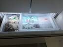 东芝（TOSHIBA）大白梨600L法式多门冰箱638双系统制冰嵌入超大容量家用变频【年度机皇】GR-RF638WI-PM1换新补贴 实拍图