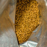 皇家美短成猫粮 ASA31 通用粮 12月以上 10KG 实拍图