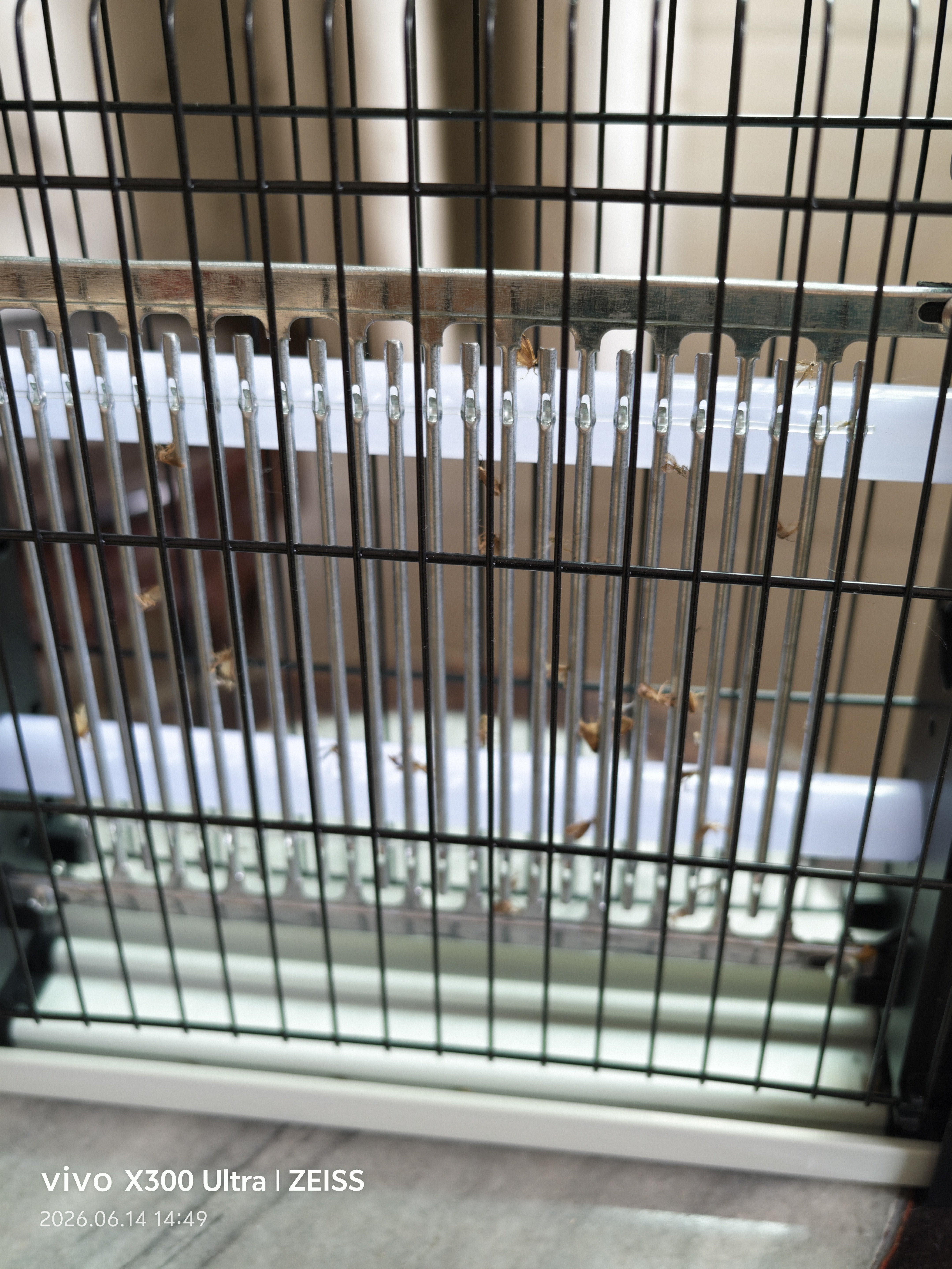 喜格丽灭蚊灯商用灭蝇灯餐厅饭店用灭蚊器苍蝇神器灭蝇器（约100㎡） 实拍图