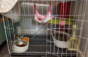 【京东快递】白色多层猫笼子超大空间家用猫窝猫睡玩一体猫咪折叠 双层【豪华套餐】一层厕所+二层休息L-69*50*56cm 实拍图