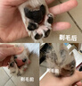 先锋（SINGFUN）宠物剃毛器猫咪专用剃脚毛器静音狗狗脚毛修剪器宠物店局部推子小猫猫爪一体机电推剪【价保618】 实拍图