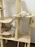 派阿哥全实木猫爬架大型猫树橡胶木太空舱猫窝一体剑麻猫抓柱落地猫跳台 177cm 9层 P33【177*100*40CM】 轻奢松木板+实木剑麻柱 实拍图