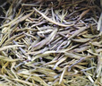 川红2026春茶早茶特级雀舌明前绿茶叶礼盒60g*2 毕业礼物送老师送长辈 实拍图
