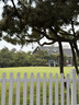 百威啤酒mini红罐淡色拉格255ml*12小罐整箱装京东自营喜酒端午送礼 实拍图