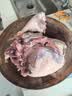滩羊鲜生 宁夏滩羊肉精修羔羊后腿新鲜羊肉卷烧烤火锅食材清真年货净重5斤 实拍图
