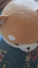 名创优品（MINISO）柴犬系列毛绒公仔趴姿玩具娃娃抱枕睡觉卧室办公室午睡枕生日礼物 实拍图
