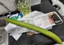 长丝瓜 约700g 实拍图