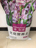 漫生活兰花专用土15L营养土养花土进口椰糠泥炭土松树皮蝴蝶兰种植土壤 实拍图