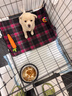 好主人狗粮 全犬种通用幼犬粮2.5kg泰迪金毛拉布拉多比熊天然粮5斤/20斤 全犬种幼犬粮5斤 实拍图