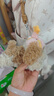 babycare毛绒玩偶生日毕业礼物女生挂件饰品潮玩手办欧阳娜娜同款马尔泰 实拍图
