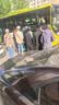佛山照明无界面板灯集成吊顶灯平板灯厨卫灯300*600白光36W 实拍图