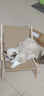 喵仙儿猫抓板猫窝剑麻不掉屑猫躺椅实木猫床耐抓猫沙发四季通用猫爬架 实拍图