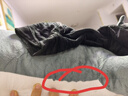 熊猫熊抱枕长条床上睡觉毛绒玩具狗布娃娃公仔大号玩偶靠枕男生日礼物女 实拍图