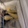 佳农泰国冷冻 金枕榴莲肉 单盒净重250g*5盒 端午水果礼盒 实拍图