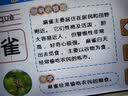 名校堂智能早教机器人儿童幼儿英语故事机0-6岁玩具R7蓝 生日礼物 实拍图