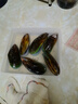 海鲜世家新西兰熟冻原汁全壳青口贝净含量1kg 21-26只/袋原装进口贝类端午 实拍图