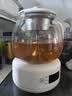 小熊（Bear）煮茶器 煮茶壶 花茶壶 养生壶 迷你电热水壶 蒸茶器 316L不锈钢全自动喷淋式泡茶器恒温壶烧水壶 【316L不锈钢+微电脑控】ZCQ-F10N7 1L 实拍图