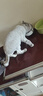 京东京造猫粮鸡肉味全价成猫粮10kg三文鱼肉营养美毛长肉质检流浪救助 实拍图