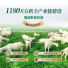 御宝有机纯羊奶粉525g 100%生羊乳成人孕妇女士中老年高钙0蔗糖陕西 实拍图