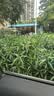 飞科电动剃须刀【王一博推荐】男士刮胡须刀快充FS903送爸爸父亲节礼物价保618【价低头部主播9折】 实拍图