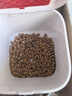 小佩智能自动喂食器SOLO白色 定时定量猫咪自动投食器(支持鸿蒙智联) 实拍图