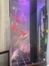森森耀蓝鱼缸水泵小型潜水泵过滤泵抽水泵YQP-2500 40W 实拍图
