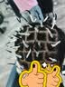 忆丝芸烫发药水男士烟花烫发冷烫女自己烫全套工具烟花定位烫自己在家 实拍图