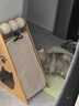 贝初众猫抓板猫窝猫爪板猫玩具猫爬架贴墙猫抓垫剑麻绳猫屋玩睡一体 【螺丝加固】豪华款麻绳板猫抓球 实拍图