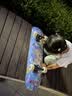 DBH儿童滑板专业板3-6-12岁初学者男女生双翘四轮滑板车 城市7.0英寸 实拍图