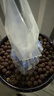 史丹利白石子水培石子天然铺面石白色鹅卵石原石庭院石头造景花盆 5斤 实拍图