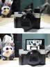 索尼（SONY）DSC-RX100M7 RX100VII 黑卡数码相机 长焦 4K视频 rx100m7 黑卡7【赠黑鹞胸包+座充+膜+电池盒+清洁套装】 官方标配[出厂配置无内存]下拉详情可见套餐介绍 实拍图