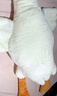 熊猫熊大白鹅玩偶抱枕睡觉毛绒玩具布娃娃夹腿长条公仔女孩生日礼物女生 实拍图
