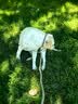 加仕高P链狗绳宠物狗狗牵引绳中大型犬16mm防爆冲遛链子项圈1.8米用品 实拍图