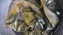 方家铺子中华老字号有机海带200g火锅食材海产干货干海带肉厚脆爽 实拍图