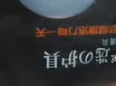俞兆林（YUZHAOLIN）纯棉保暖护腰带护胃护肚子暖腰夏季加厚腹部腰间盘突出男女士专用 亲肤透气款【灰色】 【90-180斤可穿】均码 HY02 实拍图