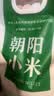 俭禾【朝阳特产】朝阳地标一级黄小米新米黄小米月子米宝宝辅食粗粮 【推荐款】朝阳小米 4斤｜当季新米 实拍图