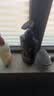 清扬男士防脱去屑洗发水500g 固发养发增发密发控油洗头膏 实拍图