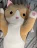 伊美娃娃猫咪抱枕公仔毛绒玩具女孩陪睡长条布娃娃玩偶睡觉夹腿抱枕女生 棕色【店长推荐：送女神选这款】 70cm 实拍图