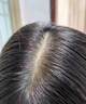 维特丝防脱洗发水生姜固发侧柏叶育控油去屑持久蓬松洗头膏露男女士专用 实拍图