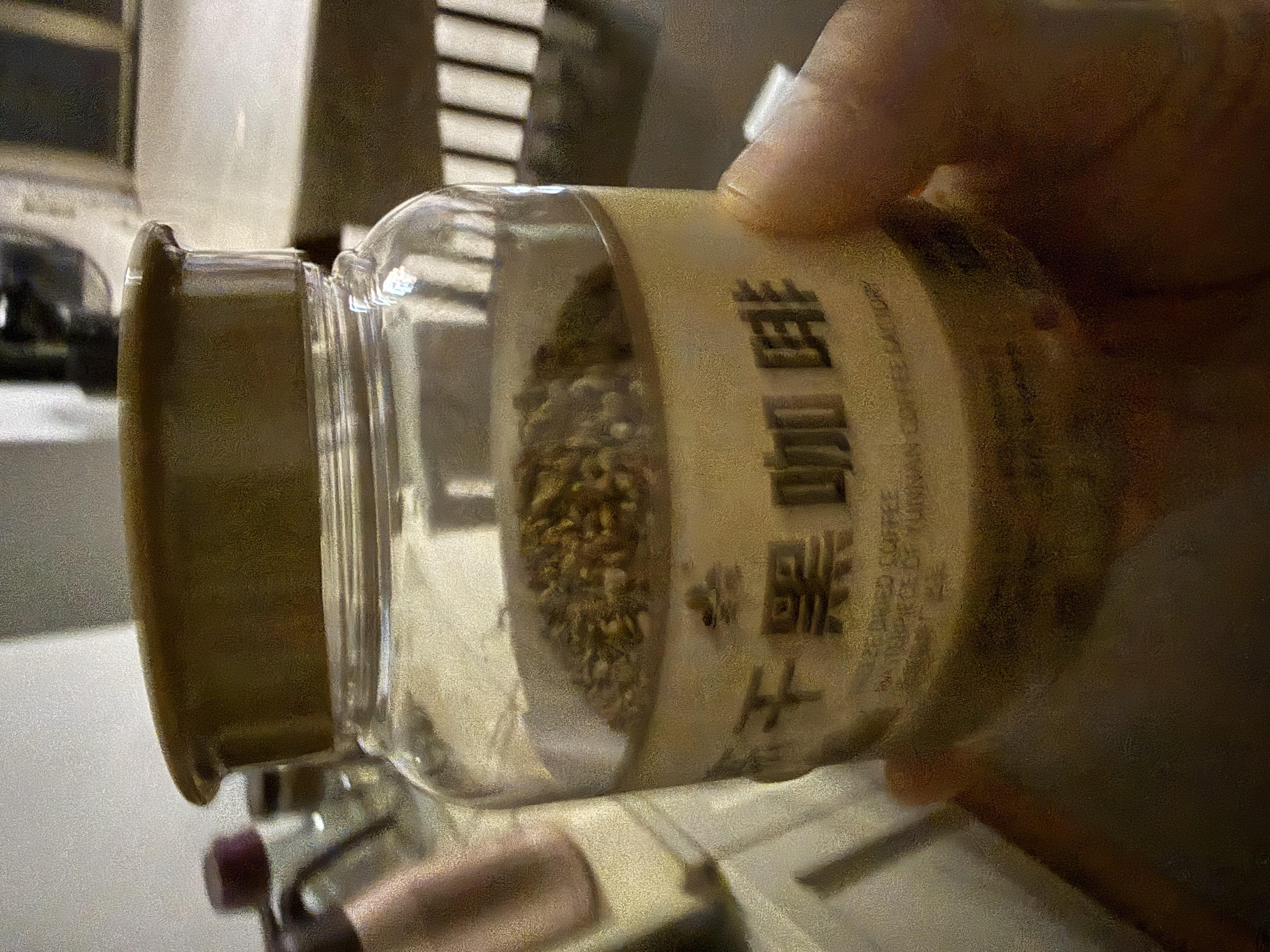 雀巢（Nestle）咖啡奶茶伴侣 原味10ml*50粒 奶精球 0反式脂肪酸 实拍图
