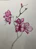樱花（SAKURA）固体水彩颜料96色国庆出游礼物套装便携式透明水彩画笔初学者学生美术户外写生绘画用品美术写生 实拍图