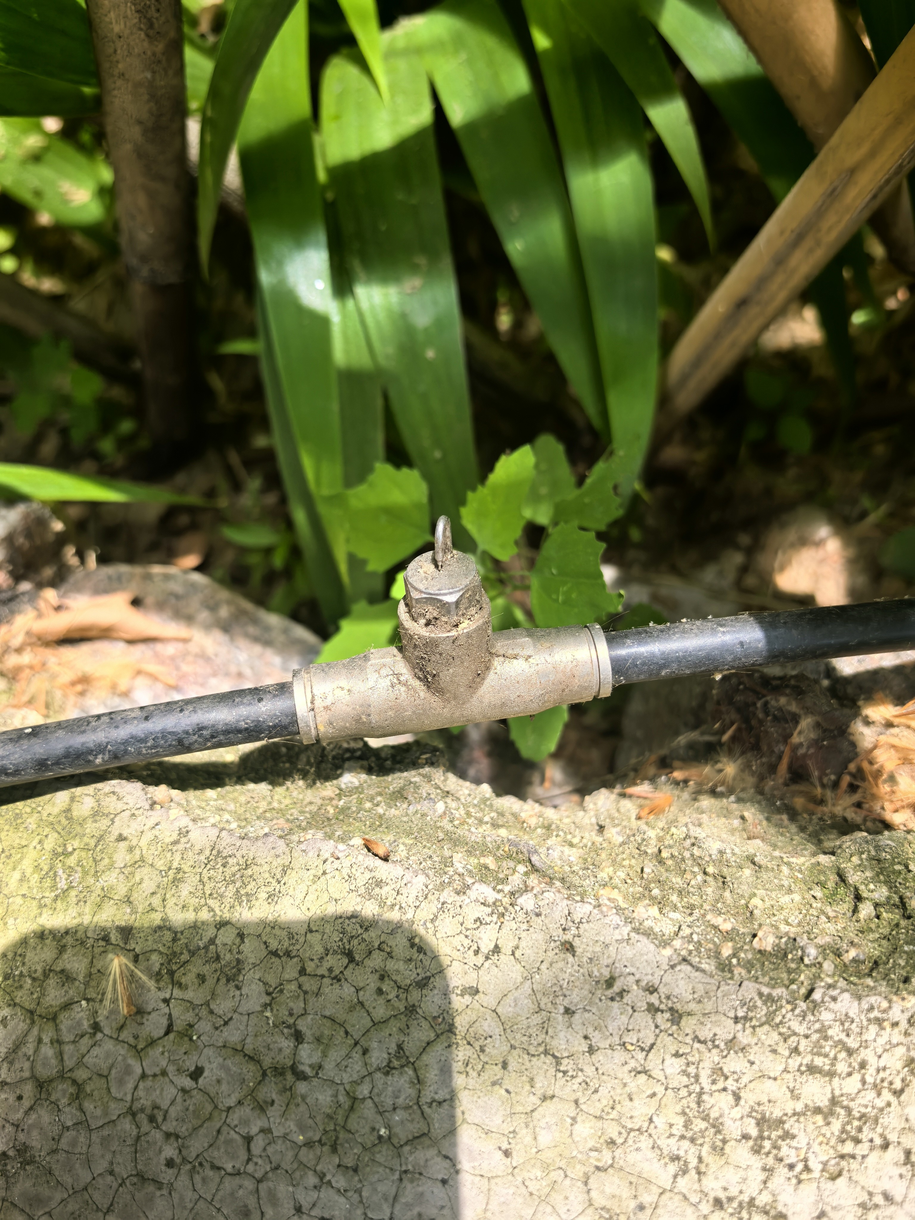 四季沐歌卫浴精铜主体龙头喷枪简易花洒套装多功能增压淋浴花洒喷头莲蓬头 【主推爆款】精铜龙头+五档手持+喷枪花洒 实拍图